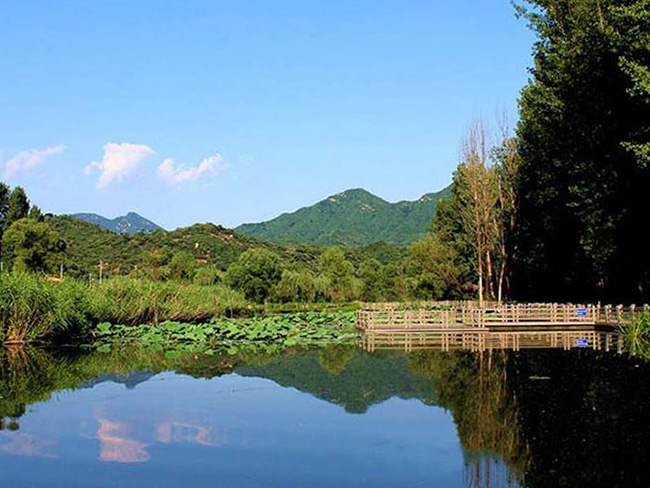 九公山陵园园区自然与人文景观