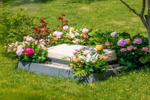 九公山陵园选墓指南：风水选址与避坑要点