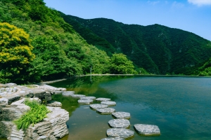 北京九公山陵园性质解析：公益与经营性墓地对比