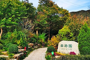 九公山陵园2025年价格解析
