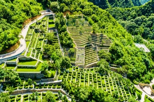 九公山陵园：传承家族情感的永恒福地