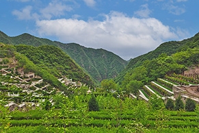 九公山陵园环境如何？几点开放