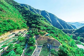 九公山陵园环境如何？位置交通便利吗